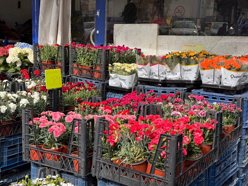 A variety of potted flowering plants arranged in black plastic crates outside the floristcrouchend.co.uk shop, featuring pink, red, white, yellow, and orange blooms such as carnations and chrysanthemu